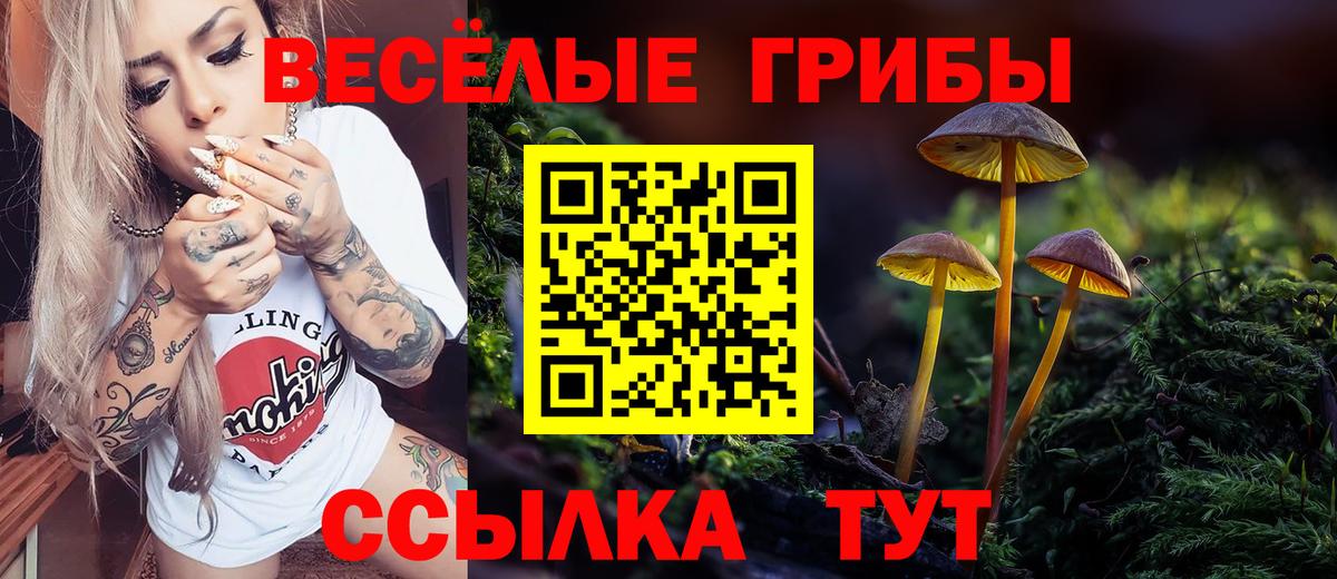 Кандалакша  что такое   Вход с VPN  Галлюциногенные грибы Magic Shrooms 