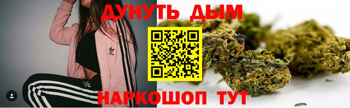 Каннабис план Кандалакша